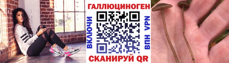 Псилоцибиновые грибы прущие грибы  Козельск 